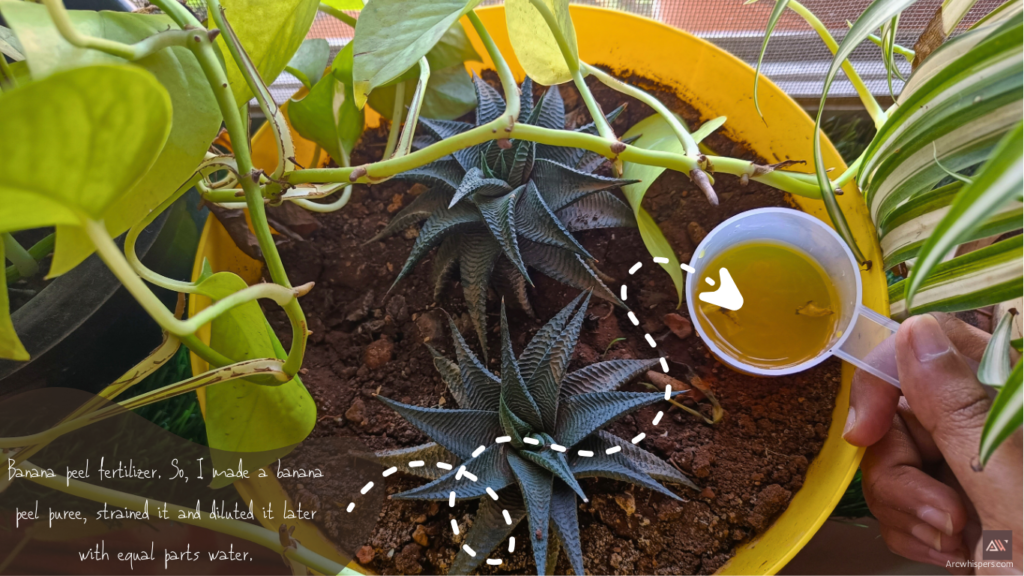 round plastic planter Planter - Basic Rim - Sandstone